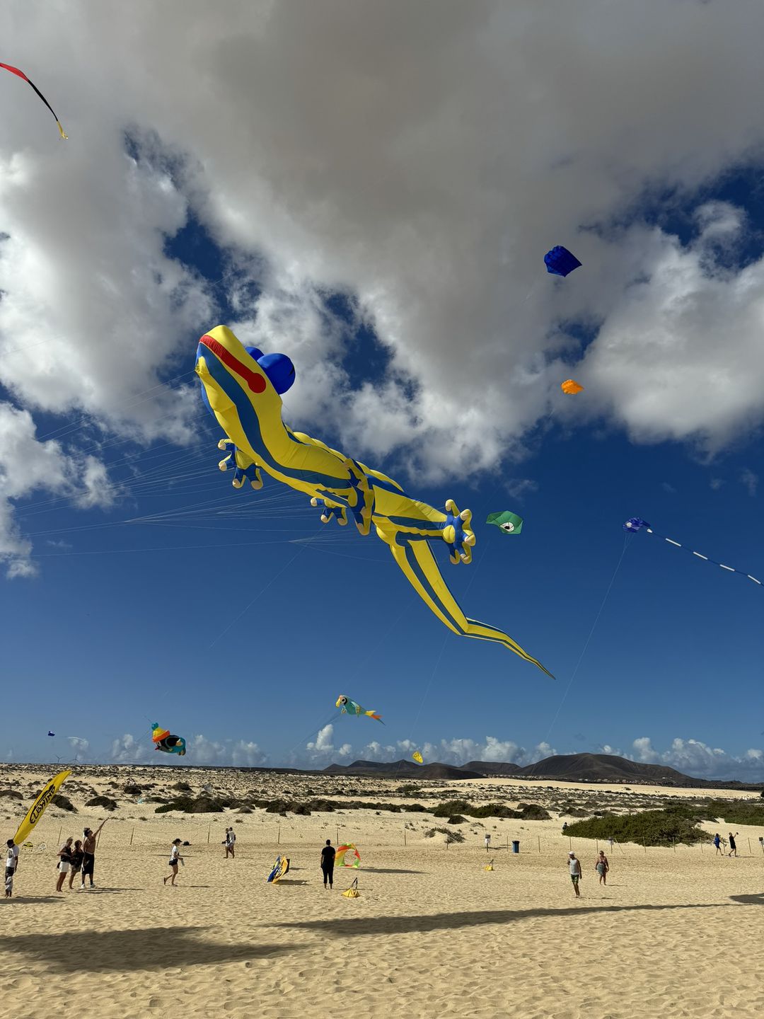 Festiwal Latawców w Corralejo