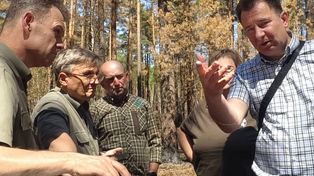 Józefów: Co dalej z Puszczą Solską? Debata naukowców i leśników po katastrofie