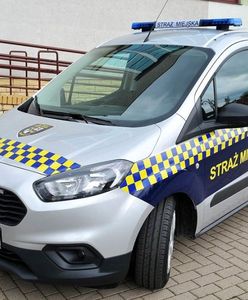 Świdnica. Strażnicy miejscy uratowali 27-latka przed zamarznięciem. Był pijany