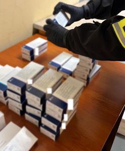 Piwnica pełna leków. Policja rozbiła zorganizowaną grupę