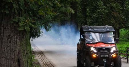 Plaga komarów. Lublin przeprowadzi akcję odkomarzania miejskich terenów