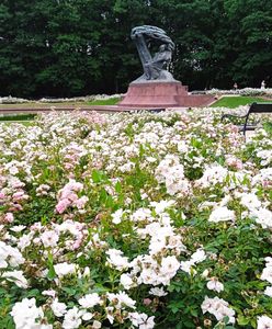 Żelazowa Wola to dopiero początek. Śladami Fryderyka Chopina