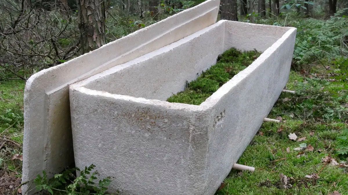 Chcesz być naprawdę eko? Zdecyduj się na "żywą trumnę" 1