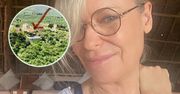 Paulina Młynarska od roku nie może sprzedać domu w Grecji. Obniżyła cenę