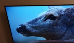 Treści 4K z Canal+ online dostępne na kolejnych telewizorach