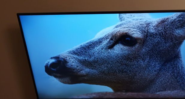 Treści 4K z Canal+ online dostępne na kolejnych telewizorach