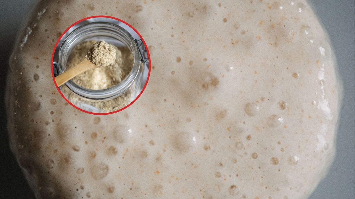 Drożdże to ratunek dla jelit