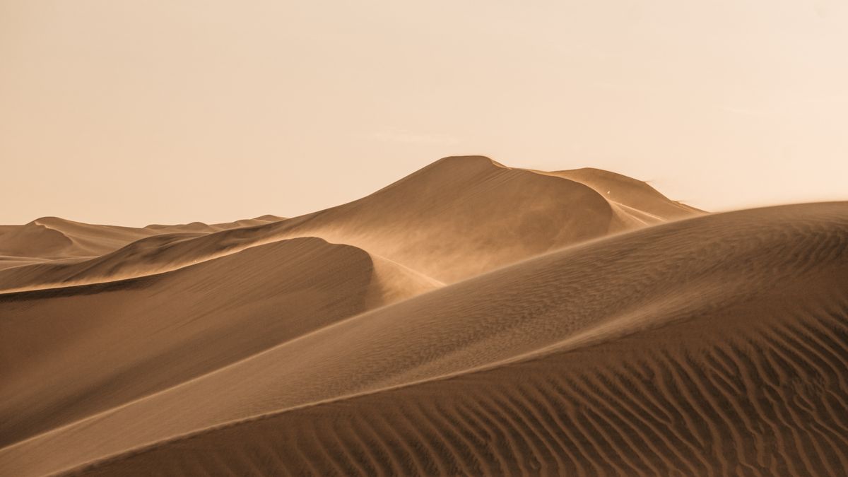 Wydmy - zdjęcie ilustracyjne