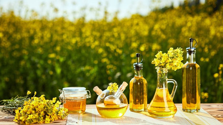 Król Twojej kuchni. Jak wybrać najlepszy olej roślinny?