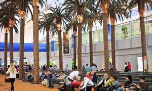 Bliski Wschód w chaosie. Kolejne loty odwołane. Podano liczby