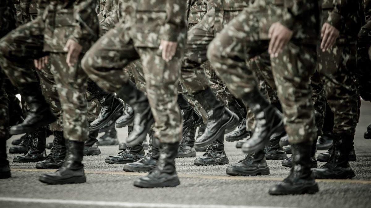 What does the draft law on voluntary military service entails