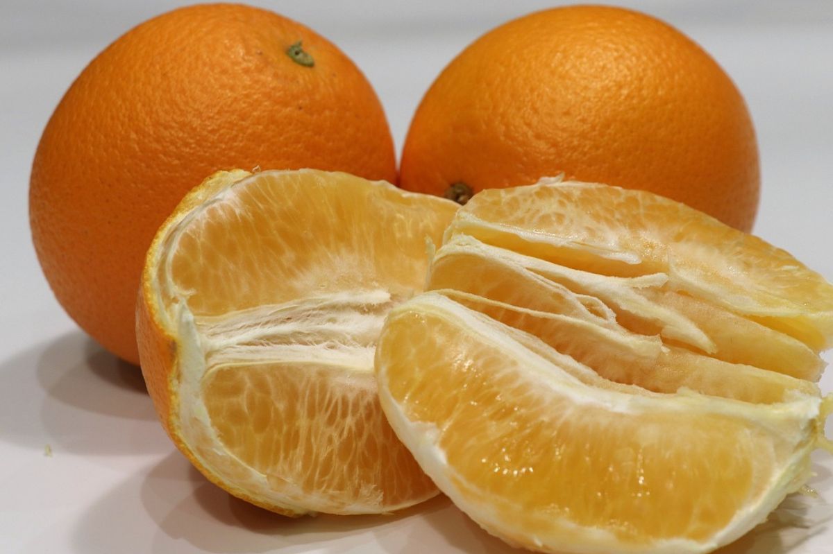 Oranges are a source of vitamins.