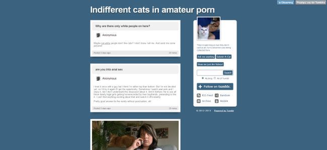 Poznaj najdziwniejsze miejsca w Sieci: internetowe porno bez… seksu 2