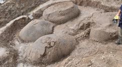 Starożytne pancerniki. Były wielkości samochodu