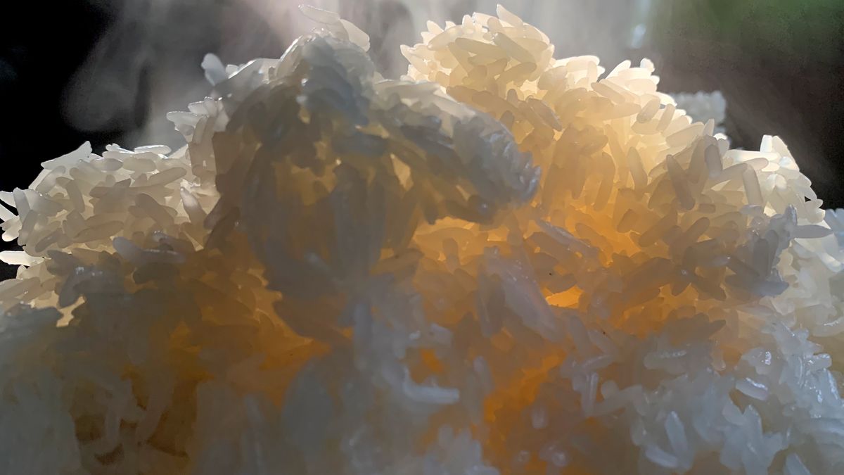 W ryżu możemy znaleźć niebezpieczny arsen