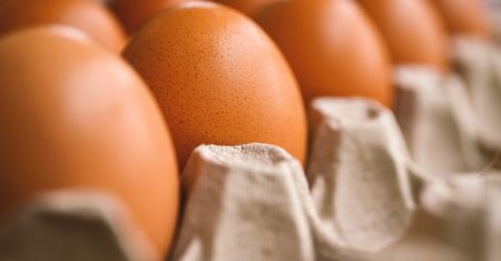 Czy można jeść jajka codziennie? Podnoszą poziom cholesterolu? Większość nie ma pojęcia
