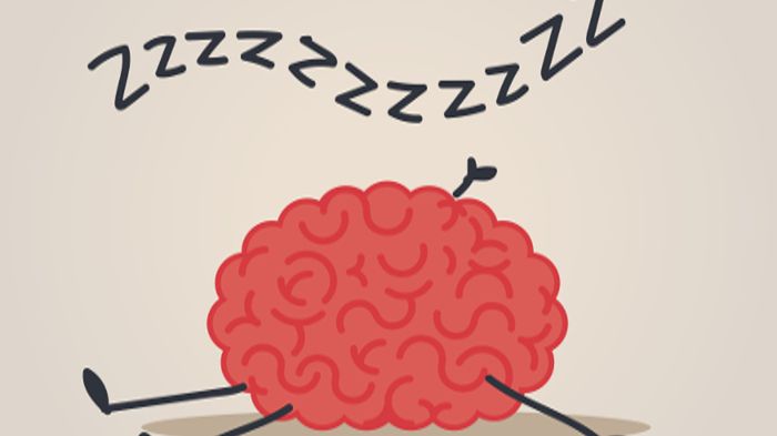 8 fascynujących faktów na temat snu