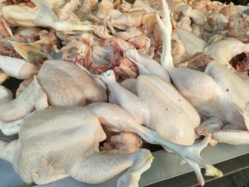 Lepiej ich nie jedz. W tych częściach kurczaka gromadzą się pasożyty