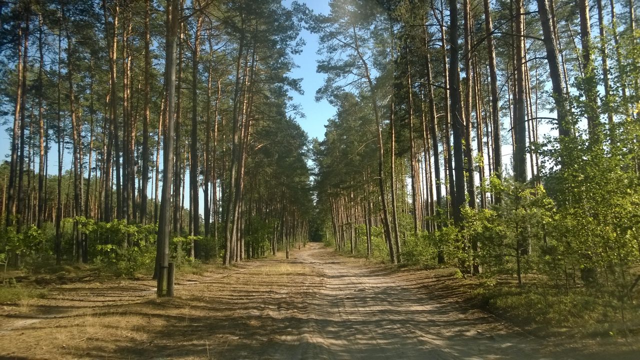 Polski Bus - wylęgarnia zarazków na kółkach, czy komfortowy i tani środek transportu?