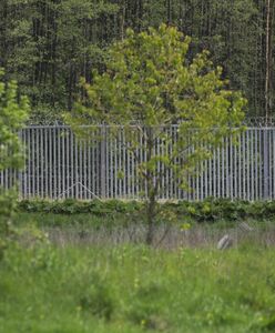 Czasowy zakaz przebywania przy granicy z Białorusią? Jest projekt MSWiA