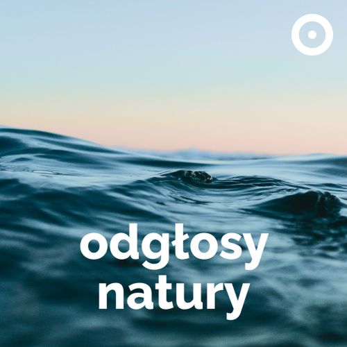 Logo stacji Odgłosy Natury