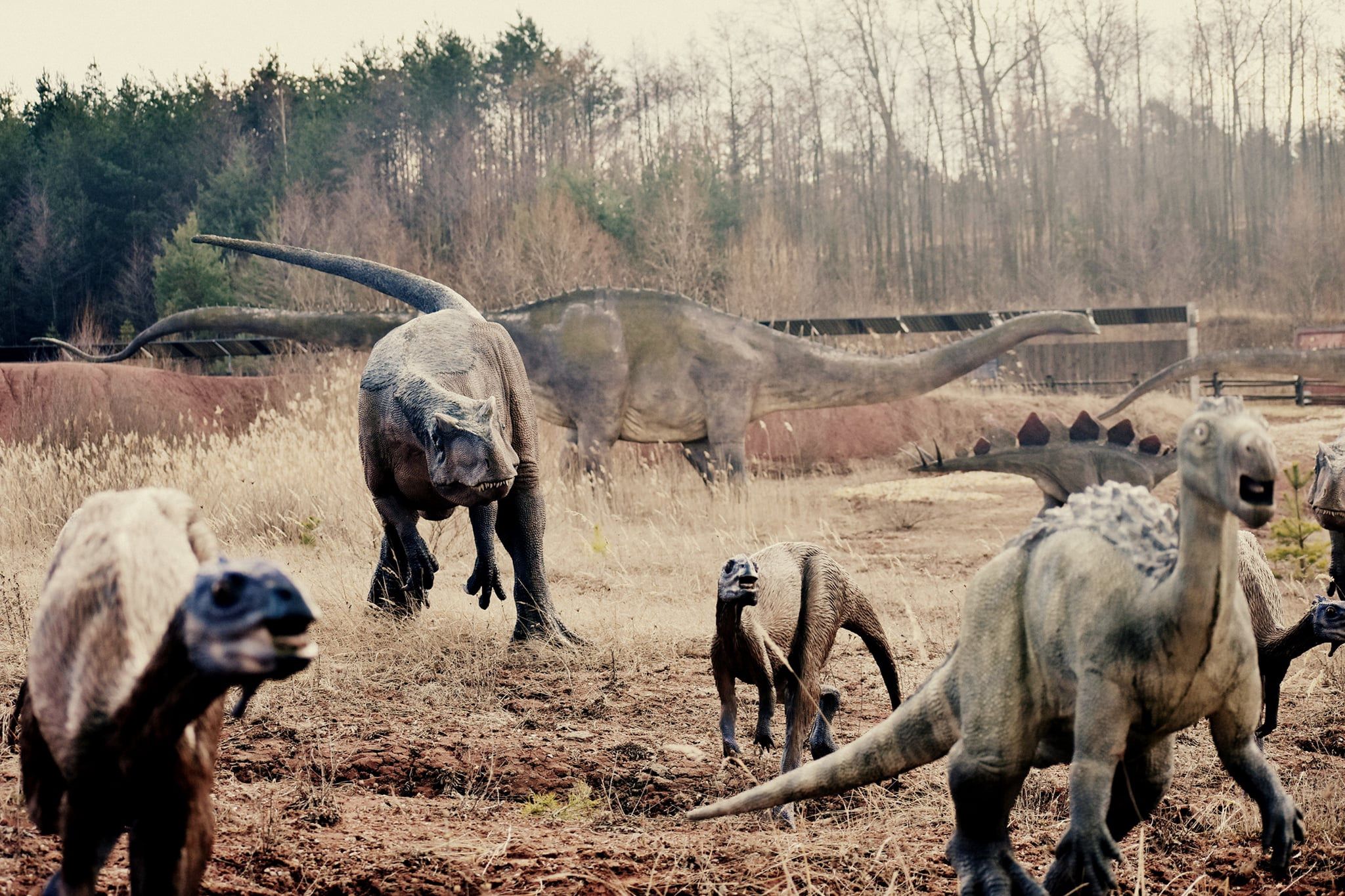 dinozaur