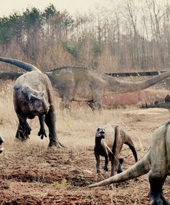 Wrocław. Dinozaury opanują miasto. To nie żart