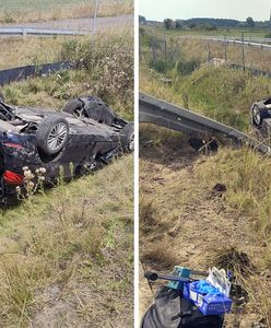 Tragiczne wyprzedzanie. Przeżył tylko pies