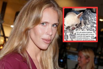 Zuzanna Pactwa opisała atak psa podczas spaceru. Jej piesek ucierpiał