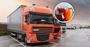 Transport z Egiptu zatrzymany. To miało trafić do sprzedaży w Polsce