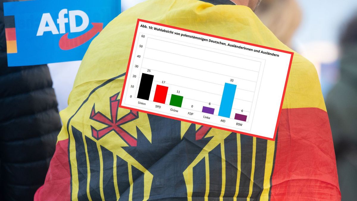 Wyniki badań poparcia w Niemczech. Oto wybory Polaków