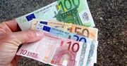 Płatności bezpośrednie i PWK. Znamy kurs wymiany