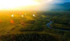 Alzheimer i demencja rekordowo rzadkie wśród mieszkańców Amazonii