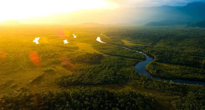 Alzheimer i demencja rekordowo rzadkie wśród mieszkańców Amazonii