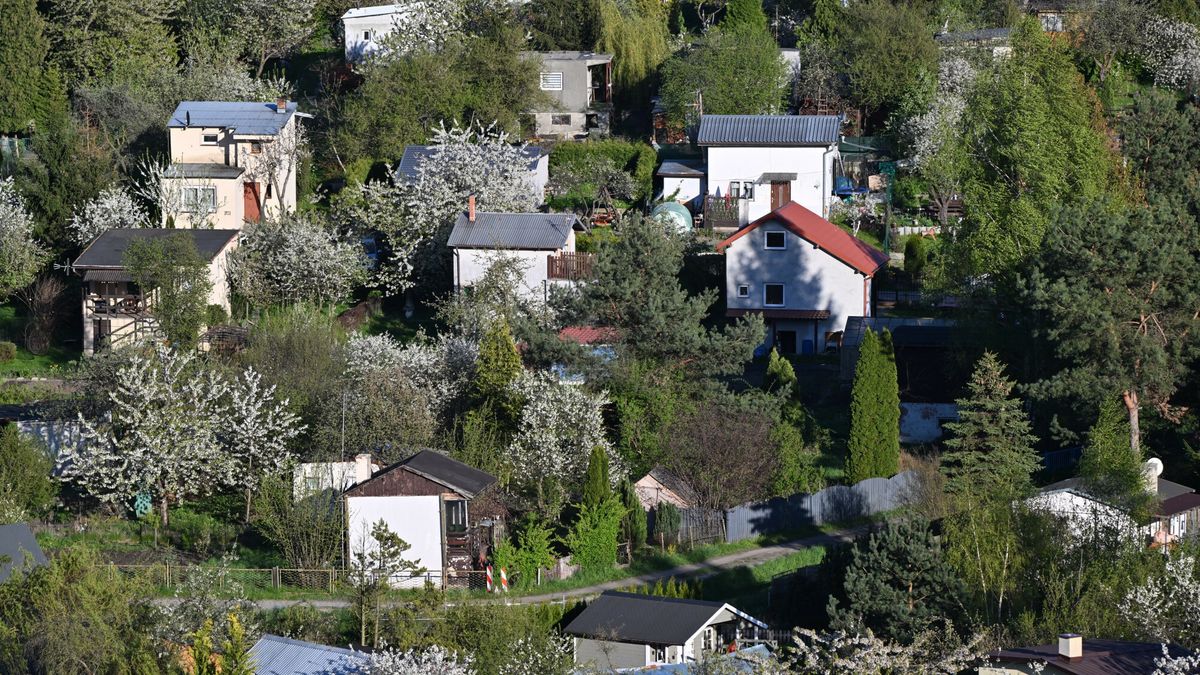 Wiosna na RODos
25.04.2025 Gdansk Rodzinne ogrodki dzialkowe wiosna 
Fot. Wojciech Strozyk/REPORTER
Wojciech Strozyk/REPORTER