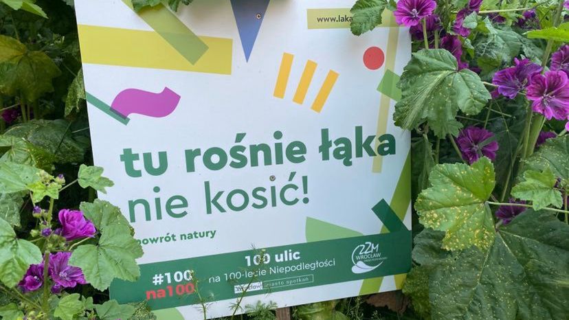 Takie tabliczki mogą ratować trawniki przed kosiarką. Czasem trzeba wytłumaczyć, że to racjonalny zamysł 