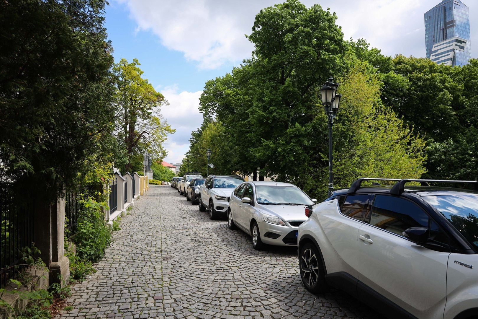 Miejsc parkingowych na al. Pod Kasztanami w Rzeszowie już ma, ale kierowcy nadal tam parkują. Sypią się mandaty