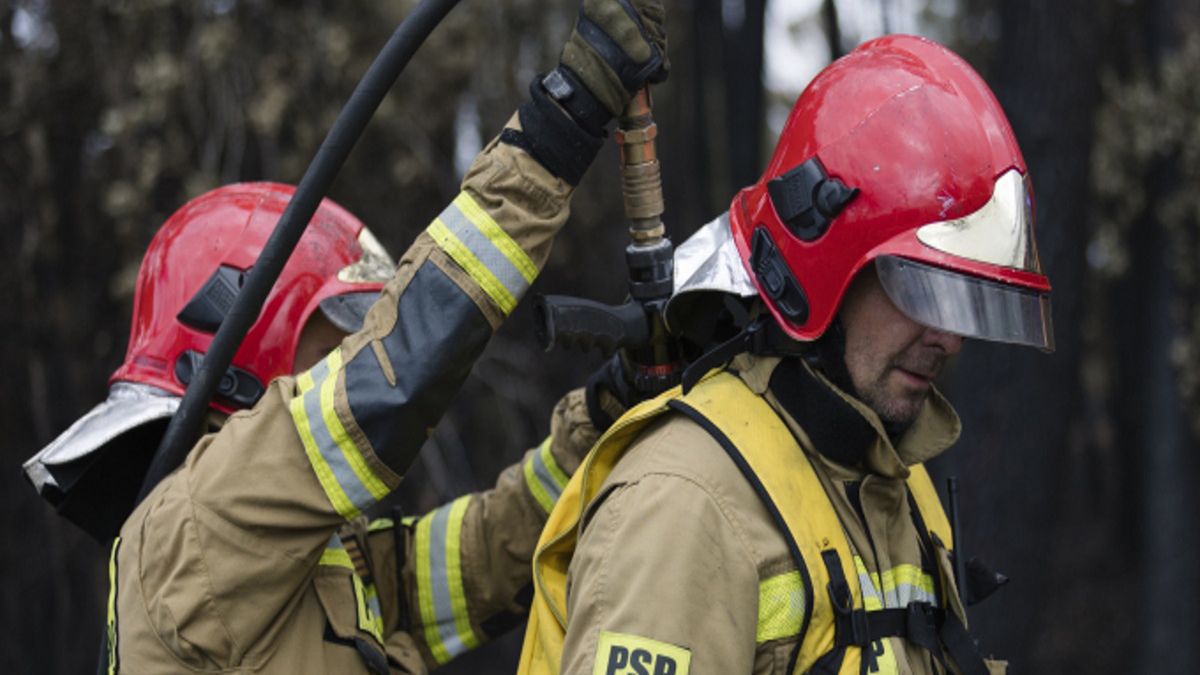 Zdjęcie ilustracyjne