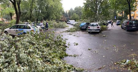 Uwaga, nadciąga niż Tim! Silne porywy wiatru pod koniec tygodnia