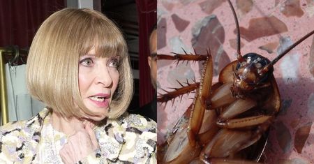 Popłoch na imprezie Anny Wintour! Na Galę MET wtargnął KARALUCH (WIDEO)