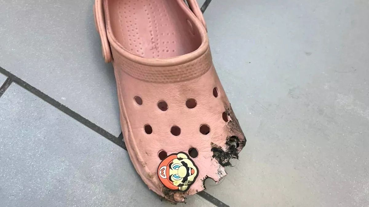 Zdjęcie rozerwanego Crocsa po wciągnięciu do schodów ruchomych