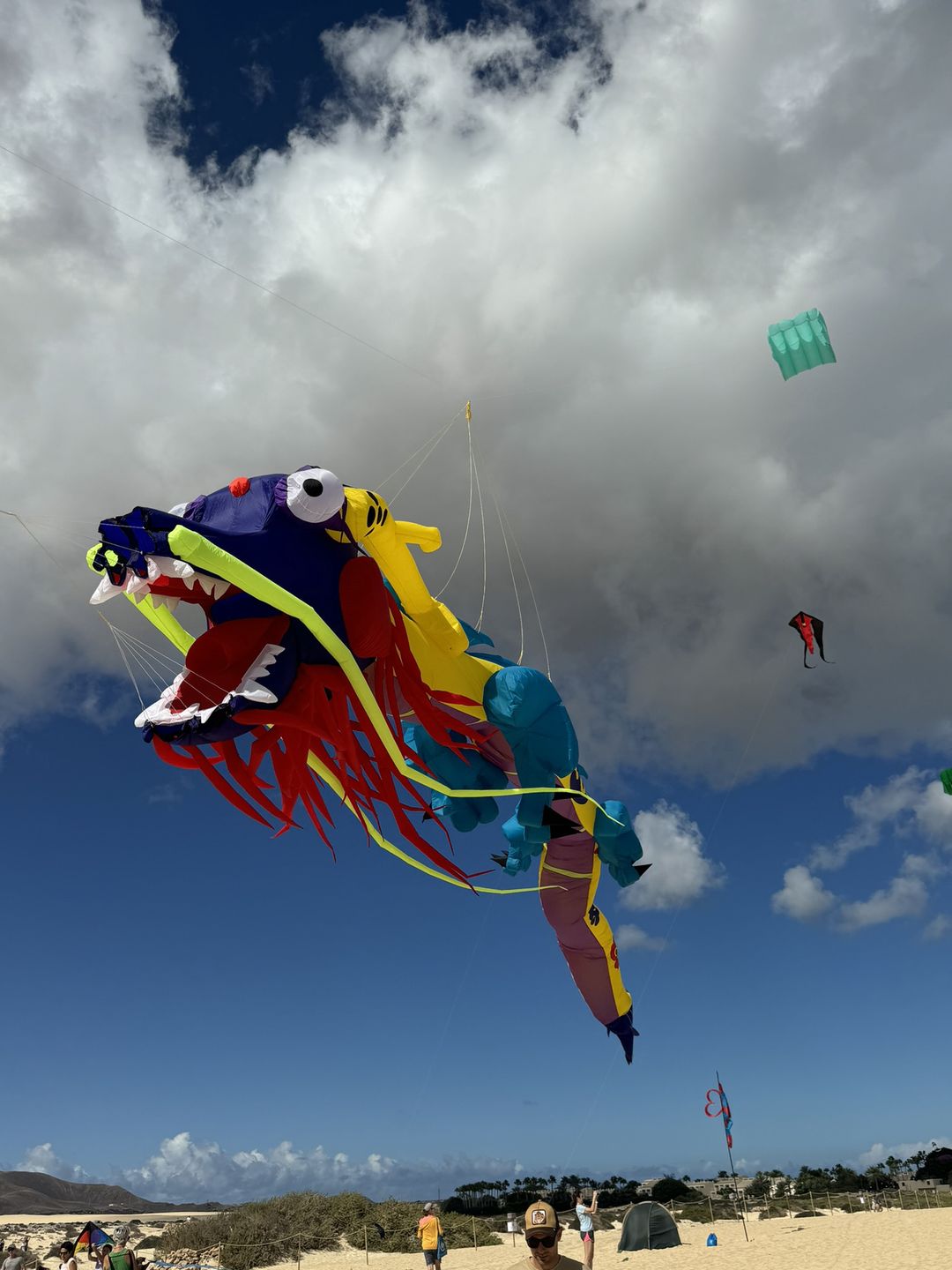 Festiwal Latawców w Corralejo