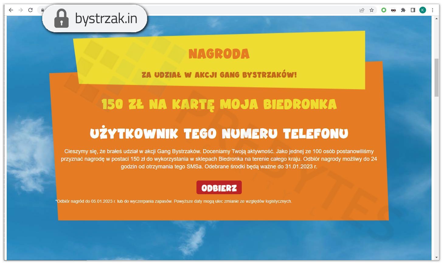 Fałszywa strona Gangu Bystrzaków Biedronki