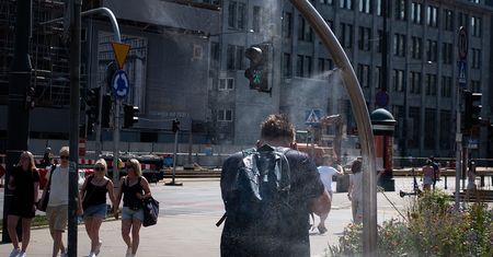 Australijska zasada 5S na upały. W Polsce też może pomóc