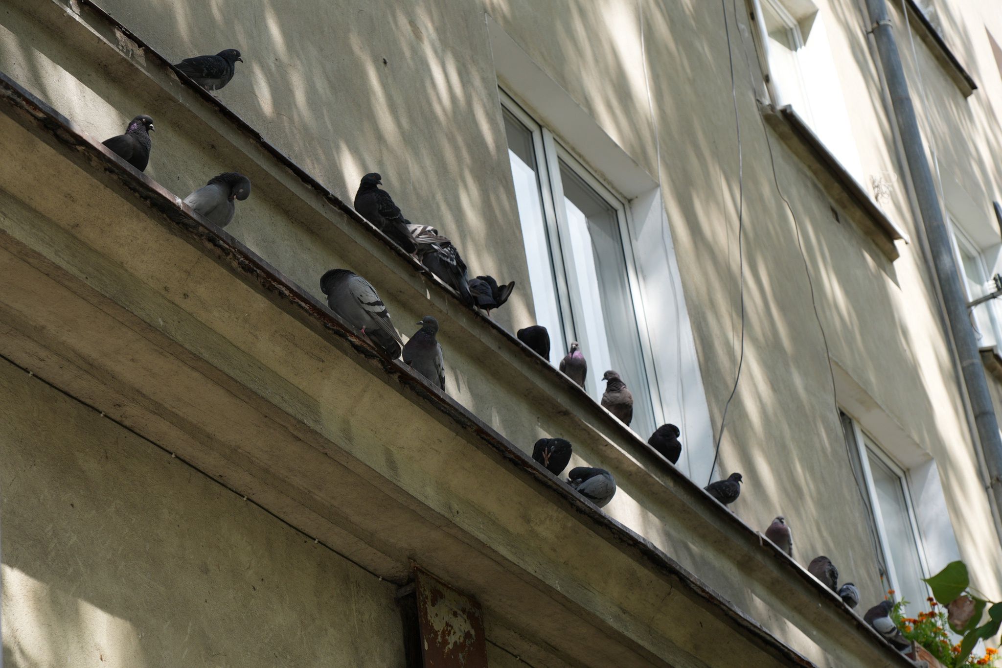 Zdjęcie przykładowe zrobione Sony A6700.