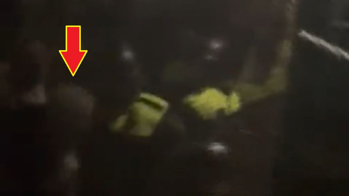 Na zdjęciu: atak holenderskich służb na Dariusza Mioduskiego