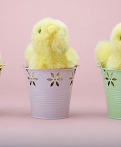 Kto znajdzie pracę przed Wielkanocą? Ile można zarobić?