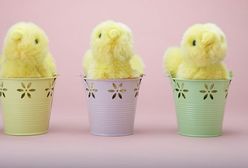 Kto znajdzie pracę przed Wielkanocą? Ile można zarobić?