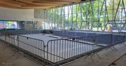 Poznań: Nowa pływalnia na Grunwaldzie coraz bliżej otwarcia