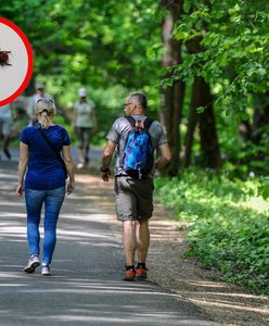 To już pewne. Śmiertelnie groźny kleszcz. Znaleziony w trzech miejscach w Polsce